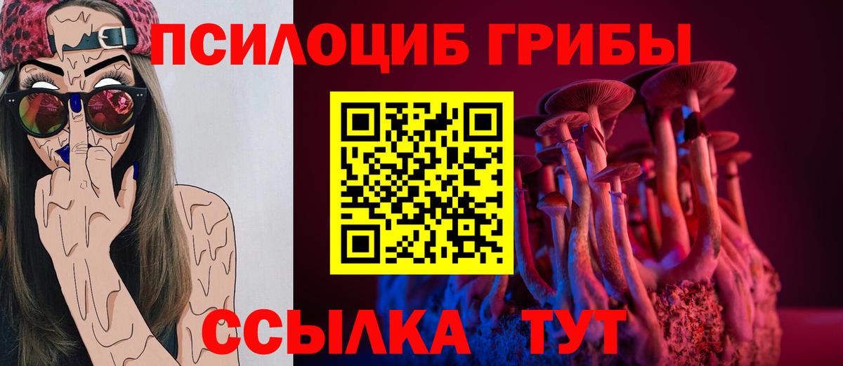 Щёлково  магазин продажи   Вход с VPN  Галлюциногенные грибы MAGIC MUSHROOMS  Галлюциногенные грибы Psilocybine cubensis 